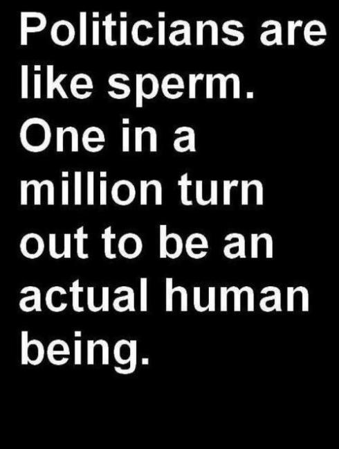 sperm and politicians